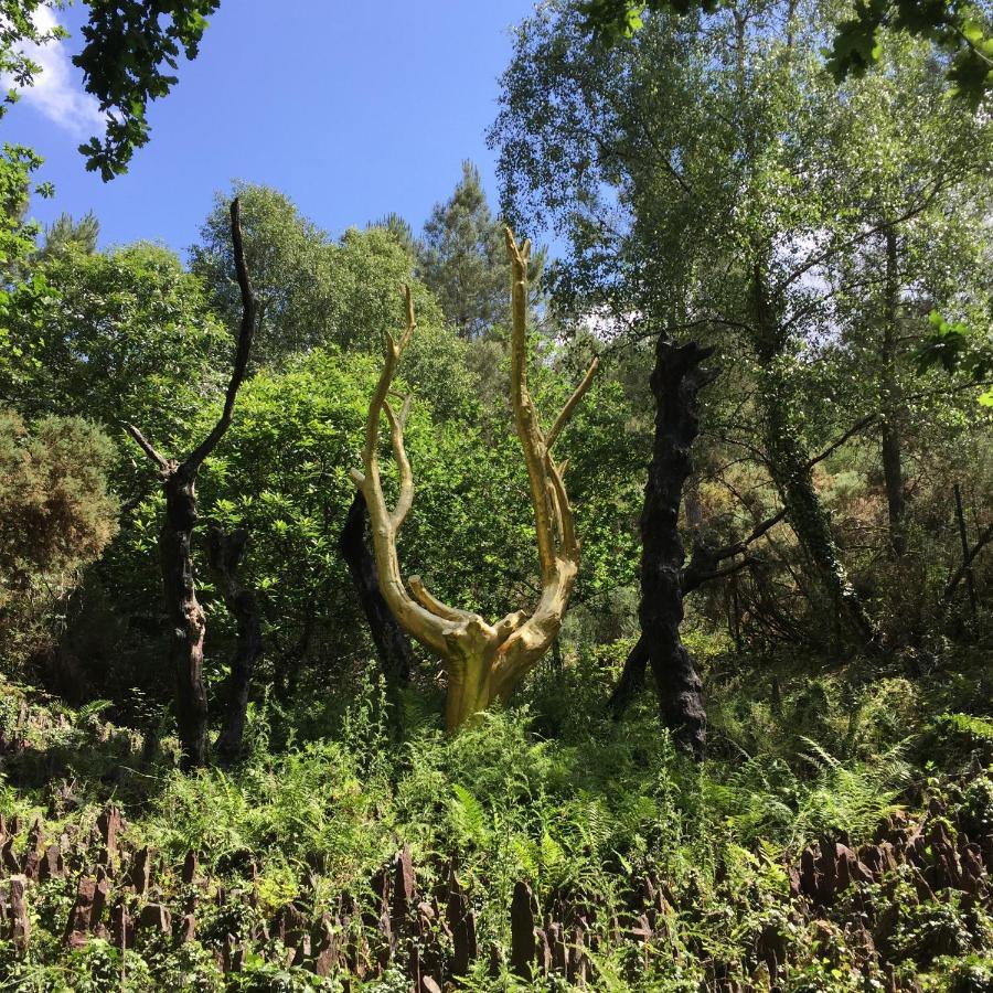 L'Hotie De Broceliande, Au Coeur Des Sites Naturels Et Legendaires Paimpont Eksteriør billede