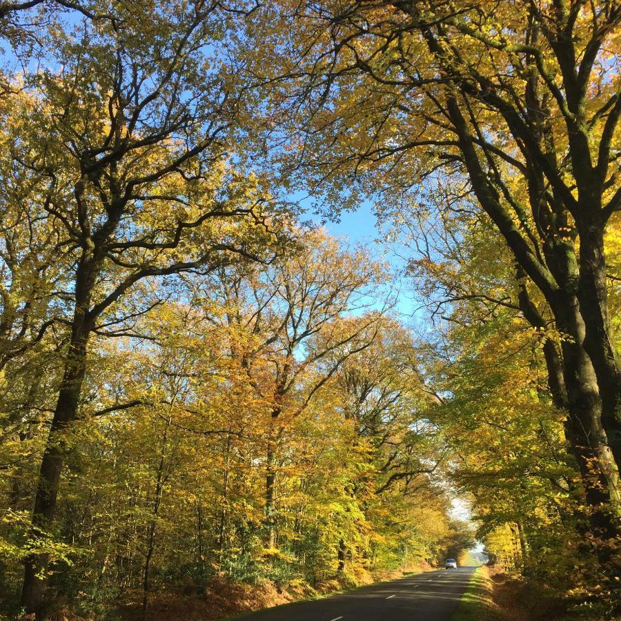 L'Hotie De Broceliande, Au Coeur Des Sites Naturels Et Legendaires Paimpont Eksteriør billede