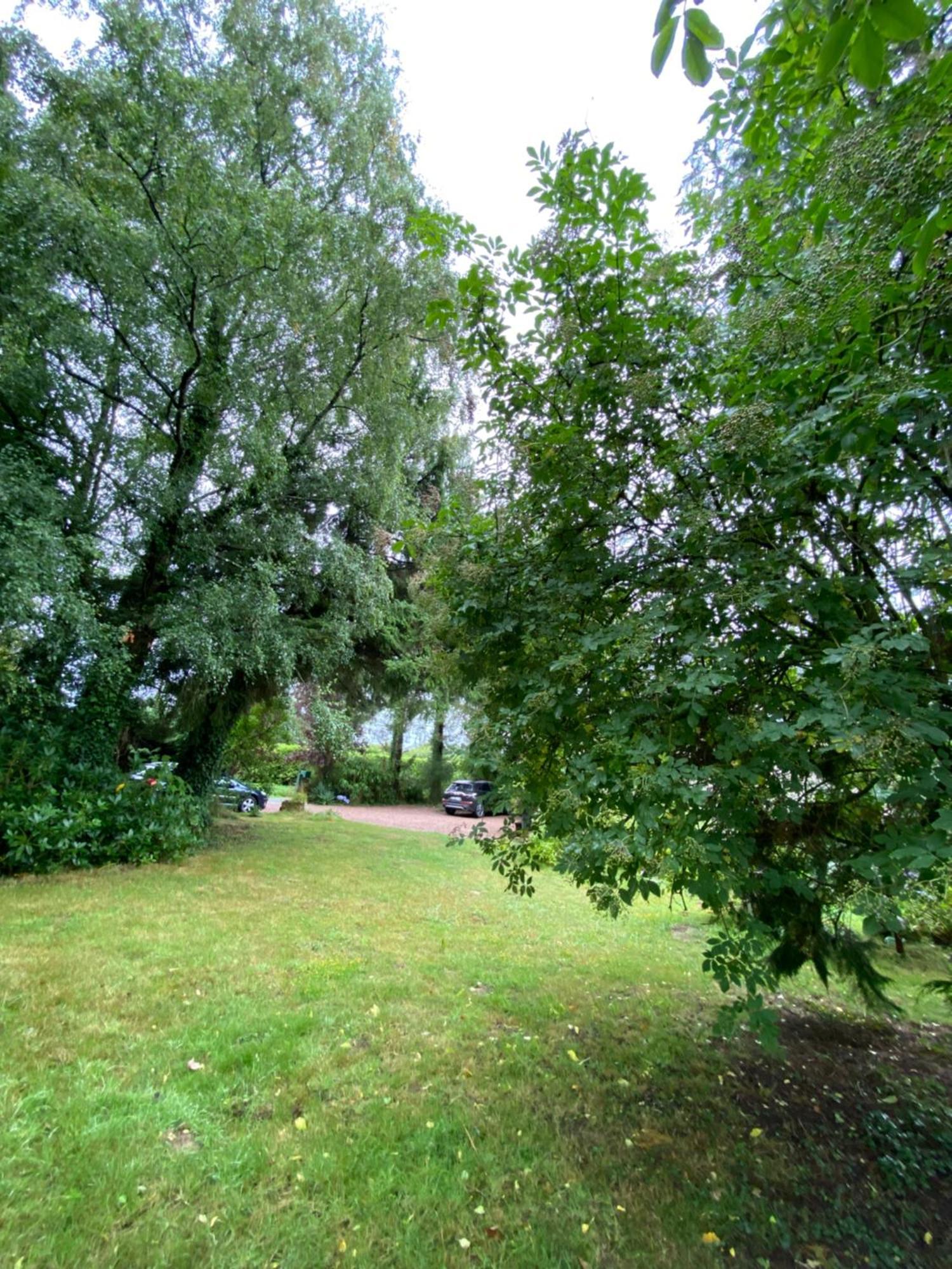L'Hotie De Broceliande, Au Coeur Des Sites Naturels Et Legendaires Paimpont Eksteriør billede