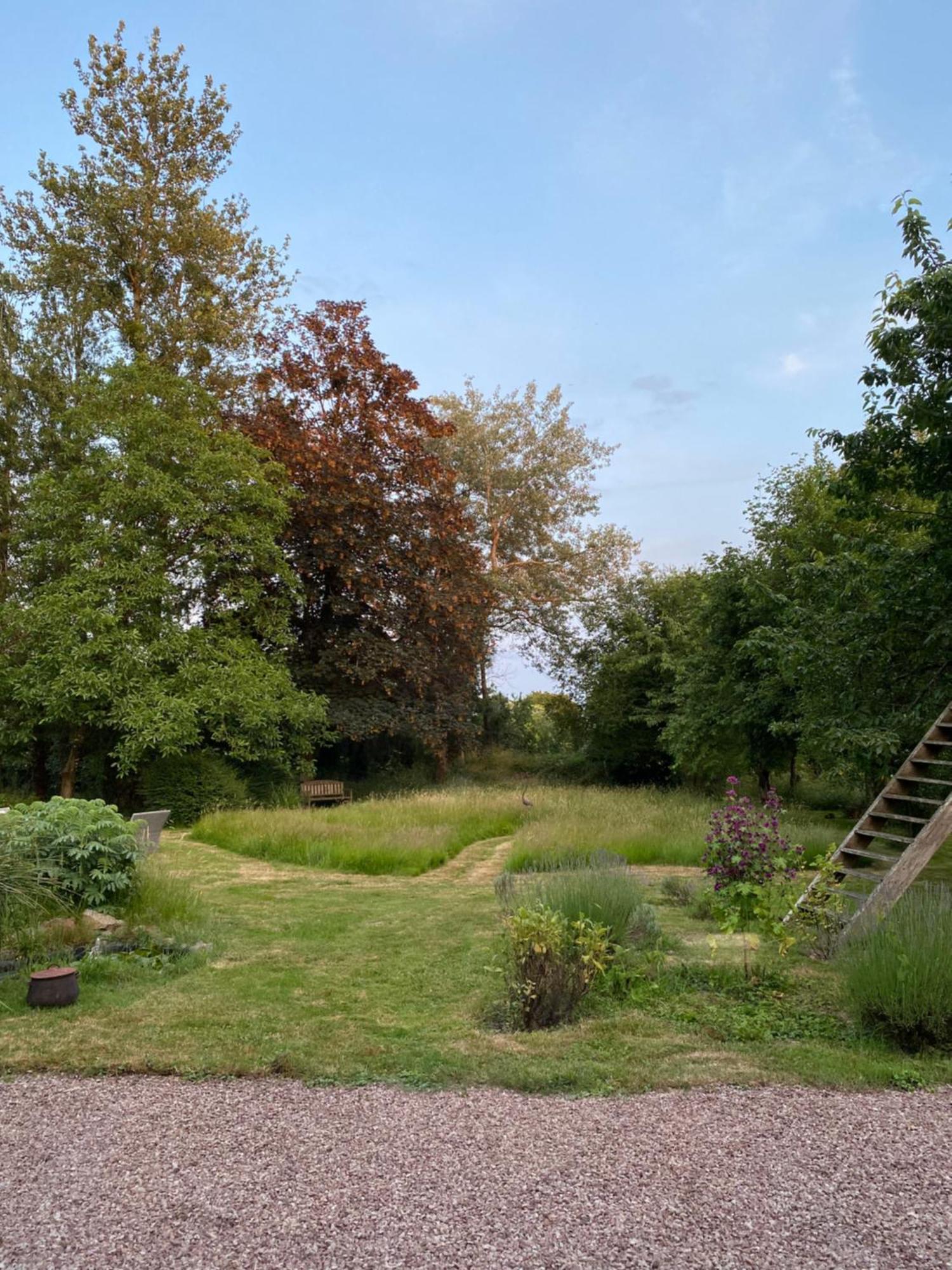 L'Hotie De Broceliande, Au Coeur Des Sites Naturels Et Legendaires Paimpont Eksteriør billede