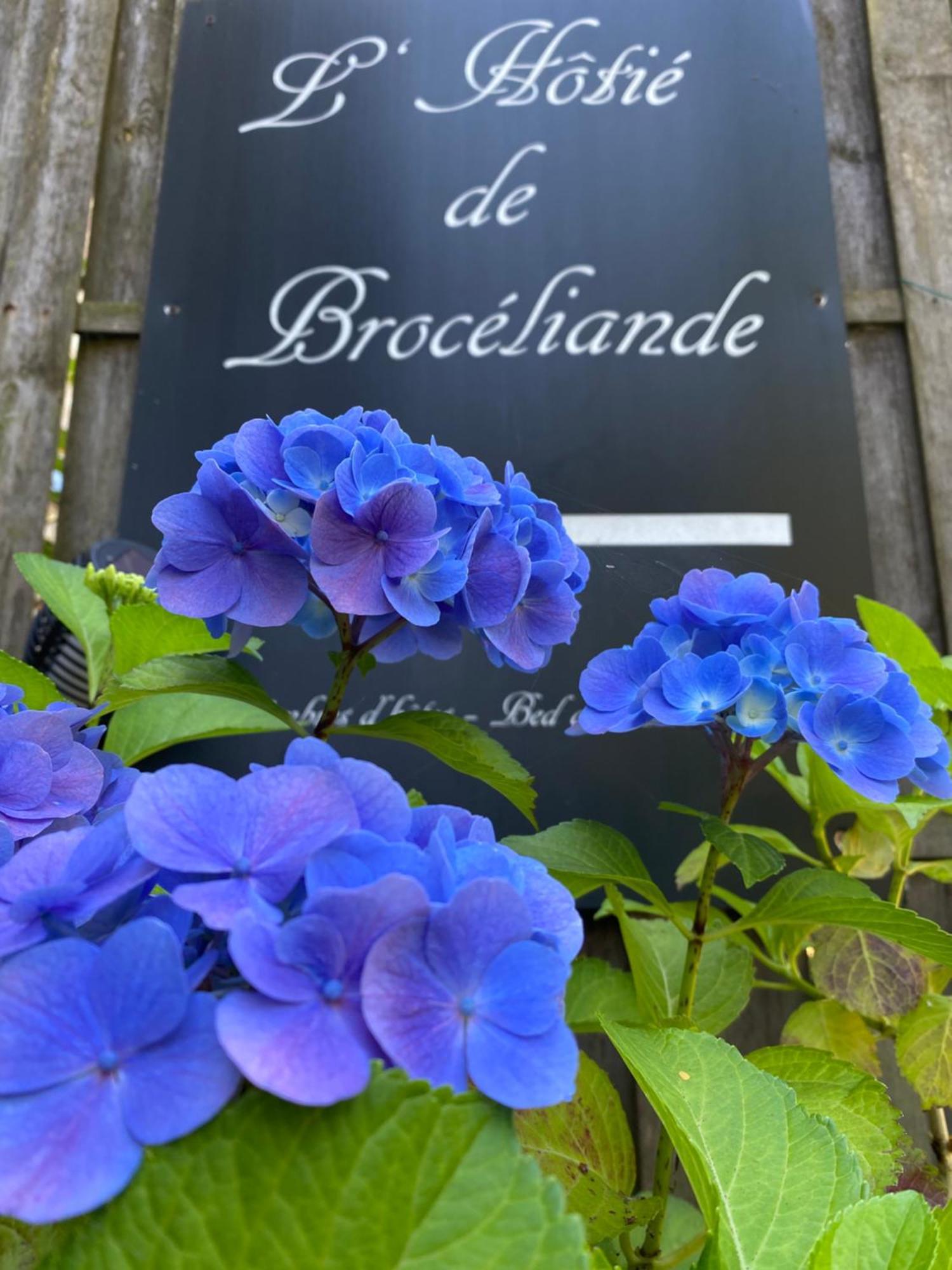 L'Hotie De Broceliande, Au Coeur Des Sites Naturels Et Legendaires Paimpont Eksteriør billede