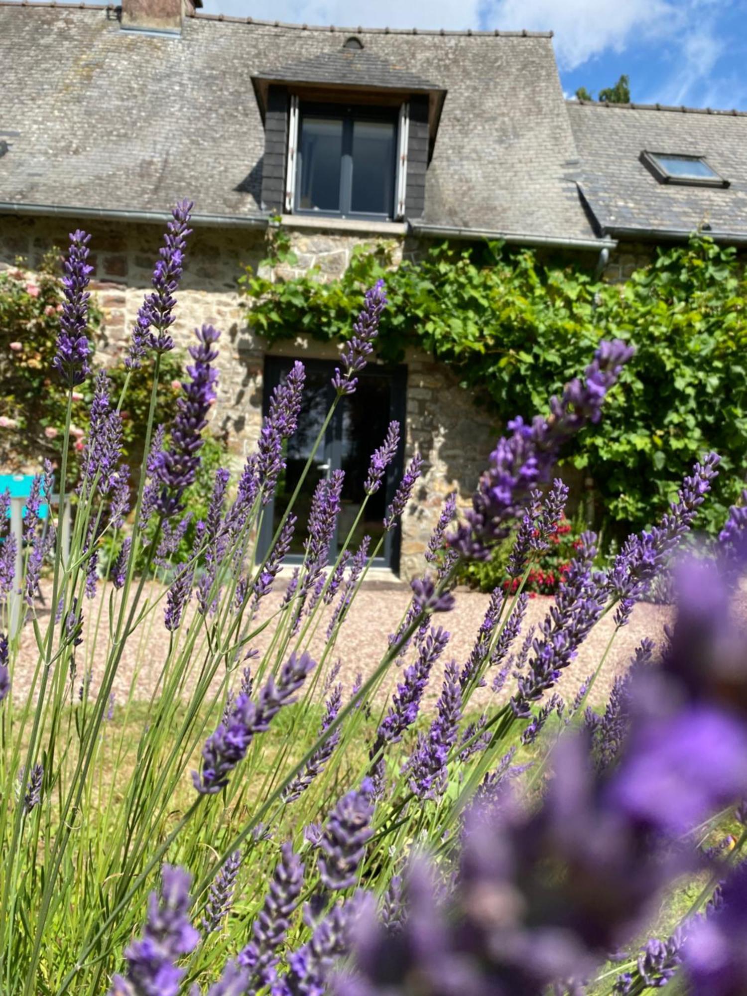 L'Hotie De Broceliande, Au Coeur Des Sites Naturels Et Legendaires Paimpont Eksteriør billede